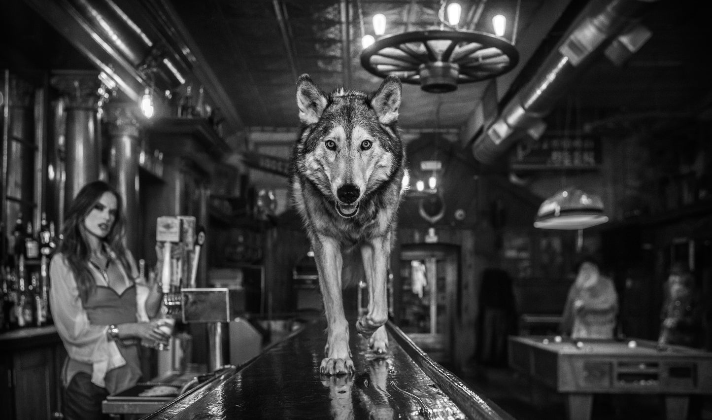 Friday Night at the Pioneer-Photographic Print-David Yarrow-Sorrel Sky Gallery