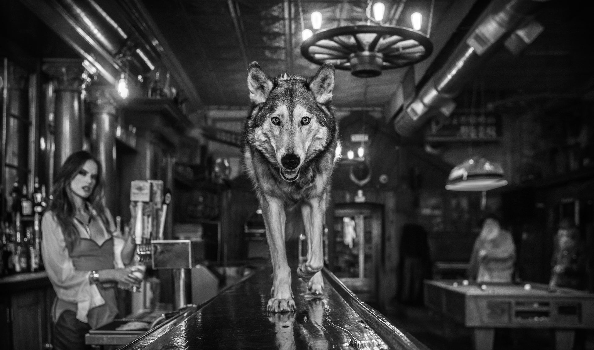Friday Night at the Pioneer-Photographic Print-David Yarrow-Sorrel Sky Gallery