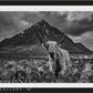 GLENCOE-Photographic Print-David Yarrow-Sorrel Sky Gallery