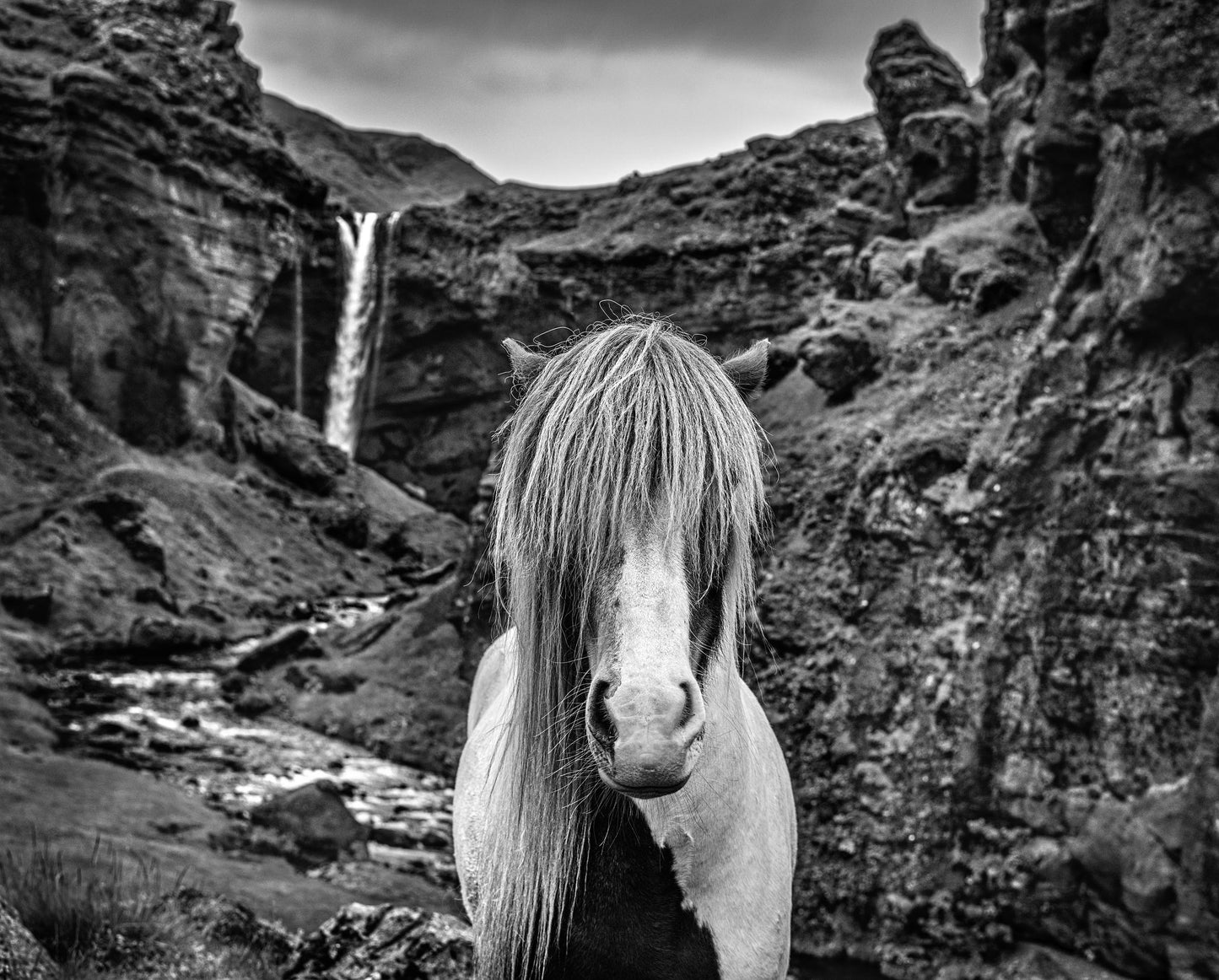 GOT-Photographic Print-David Yarrow-Sorrel Sky Gallery