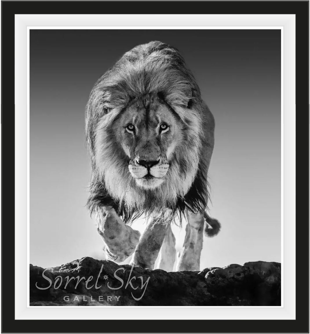 Genesis-Photographic Print-David Yarrow-Sorrel Sky Gallery