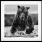 Gone Fishing-Photographic Print-David Yarrow-Sorrel Sky Gallery