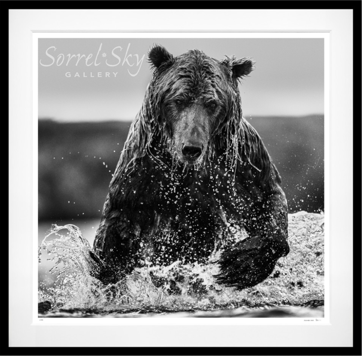 Gone Fishing-Photographic Print-David Yarrow-Sorrel Sky Gallery