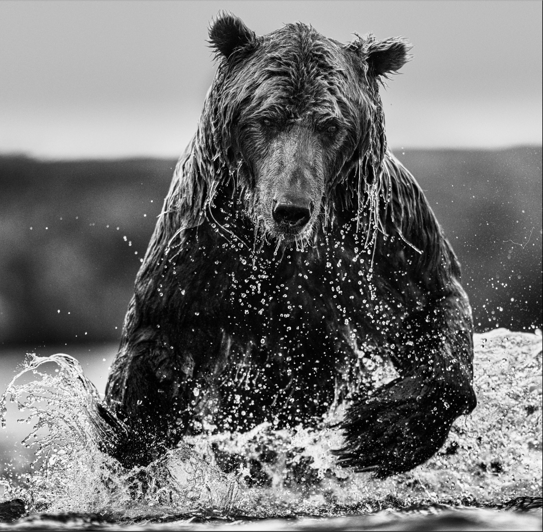 Gone Fishing-Photographic Print-David Yarrow-Sorrel Sky Gallery