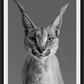 HARRY POTTER-Photographic Print-David Yarrow-Sorrel Sky Gallery