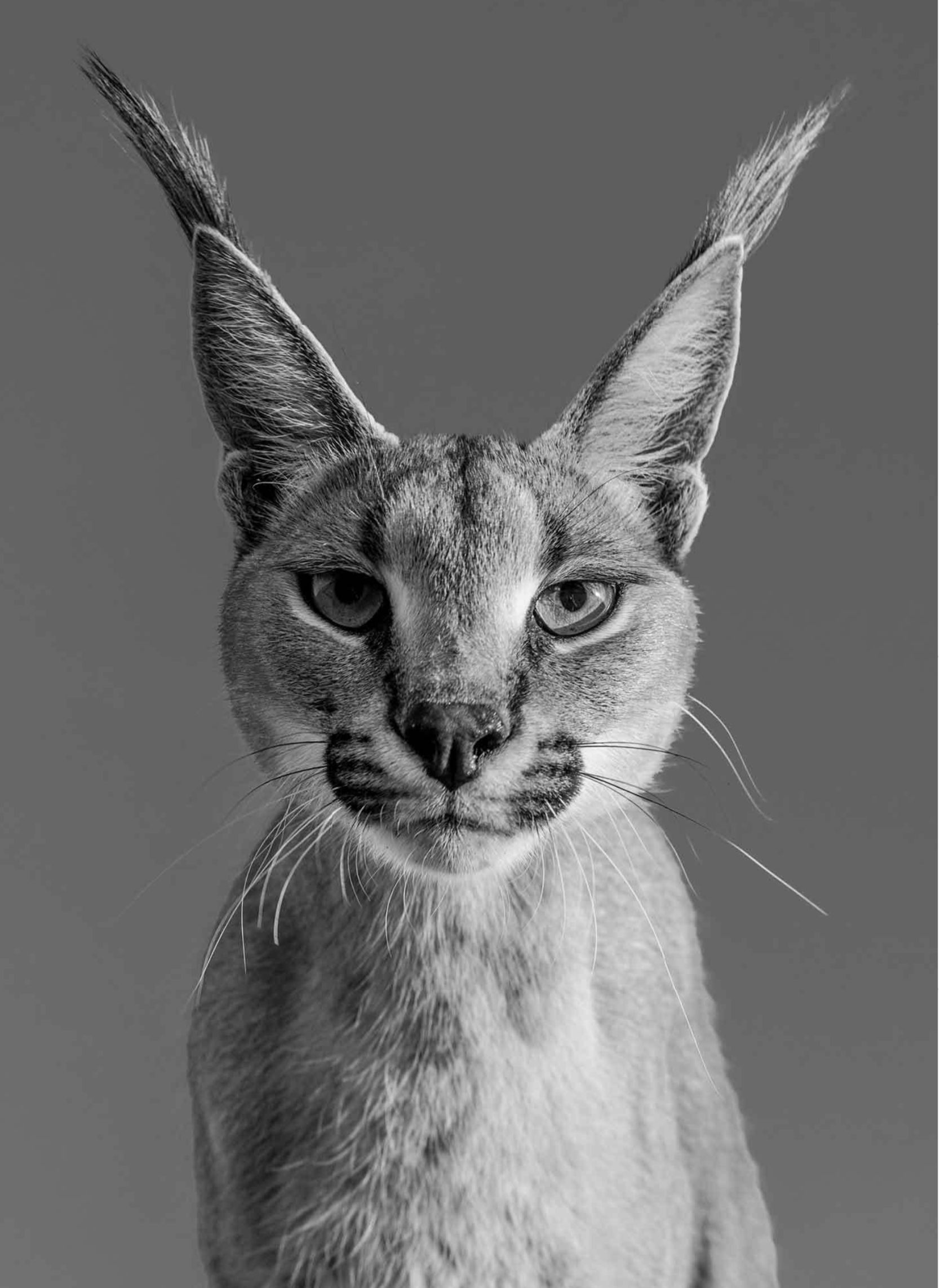 HARRY POTTER-Photographic Print-David Yarrow-Sorrel Sky Gallery