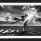 HEAVEN CAN WAIT-Photographic Print-David Yarrow-Sorrel Sky Gallery