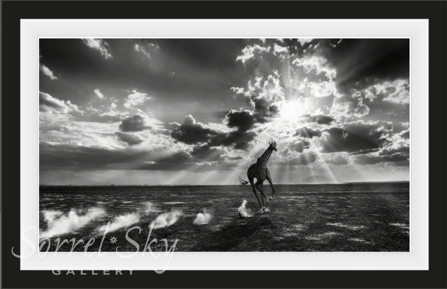 HEAVEN CAN WAIT-Photographic Print-David Yarrow-Sorrel Sky Gallery