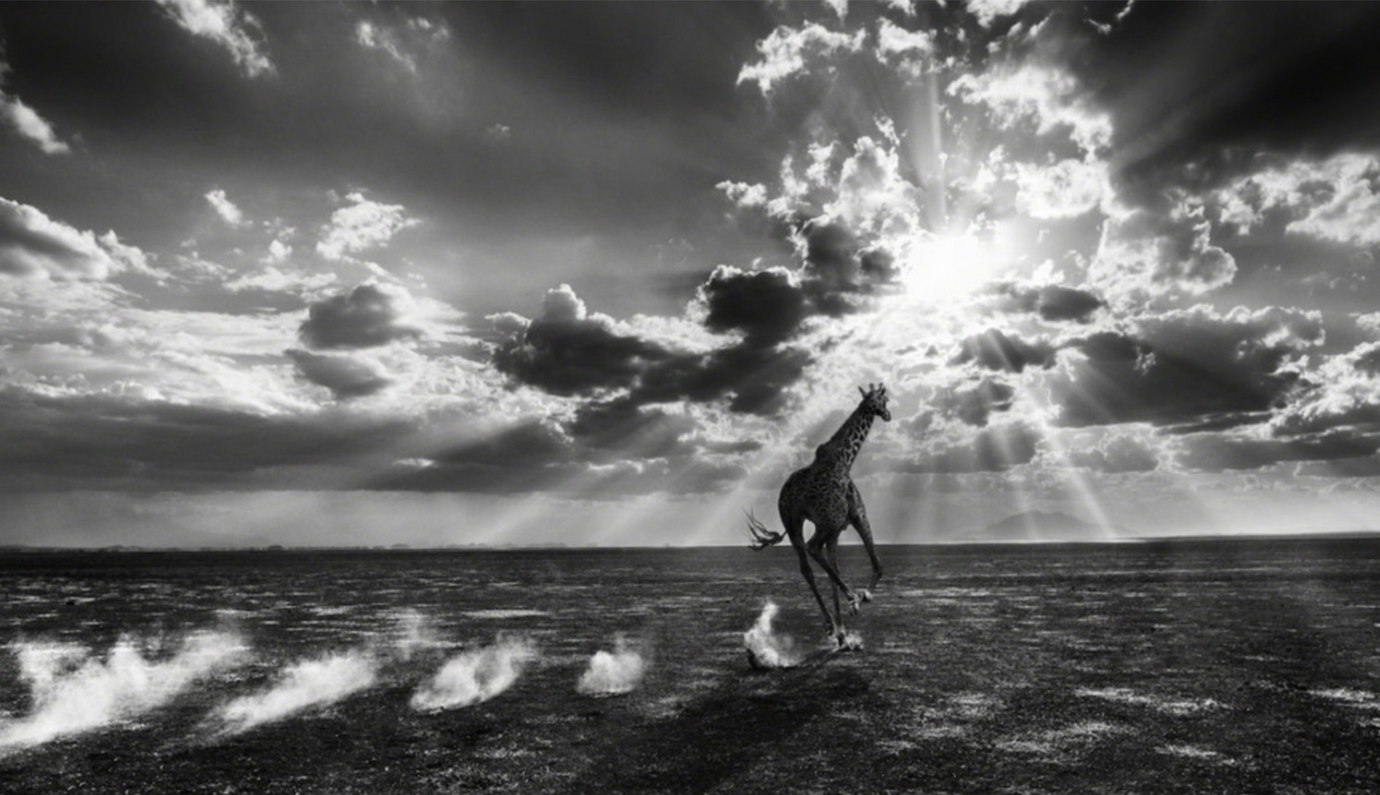 HEAVEN CAN WAIT-Photographic Print-David Yarrow-Sorrel Sky Gallery