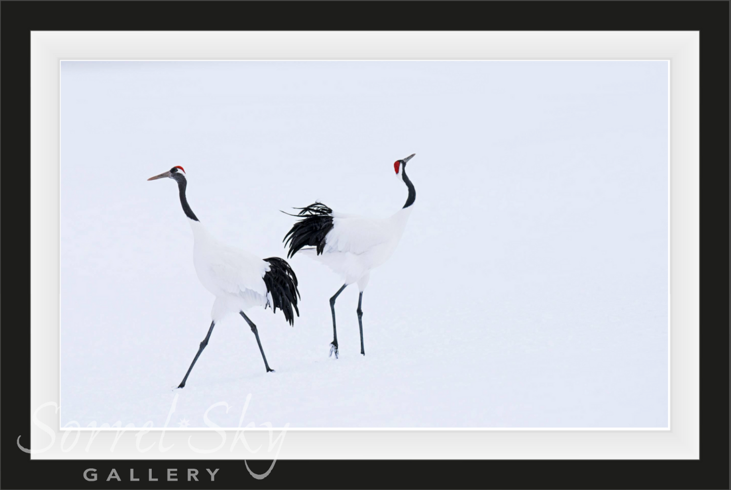 HOKKAIDO-Photographic Print-David Yarrow-Sorrel Sky Gallery