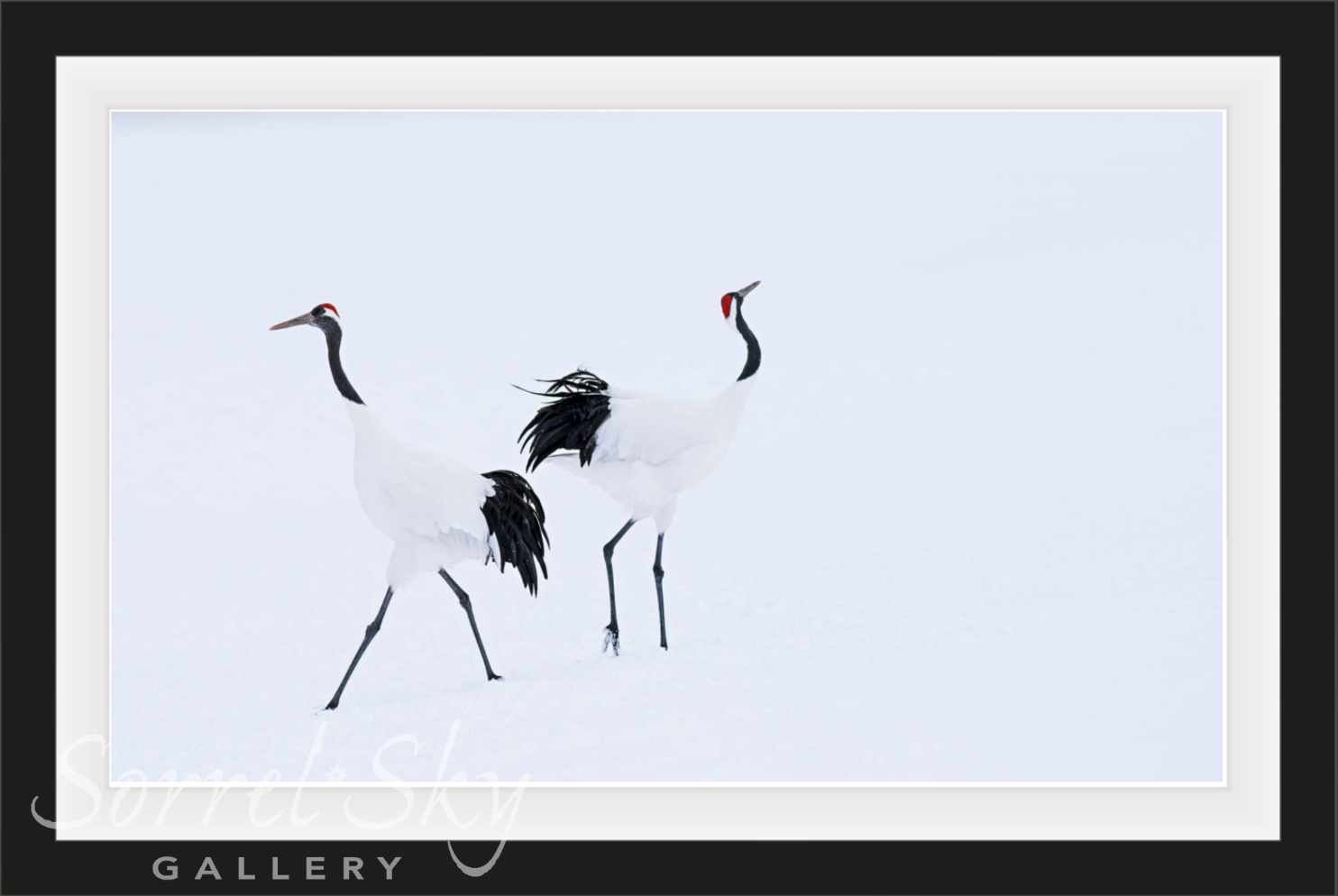 HOKKAIDO-Photographic Print-David Yarrow-Sorrel Sky Gallery