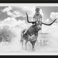 Hook 'Em Horns - B/W-Photographic Print-David Yarrow-Sorrel Sky Gallery