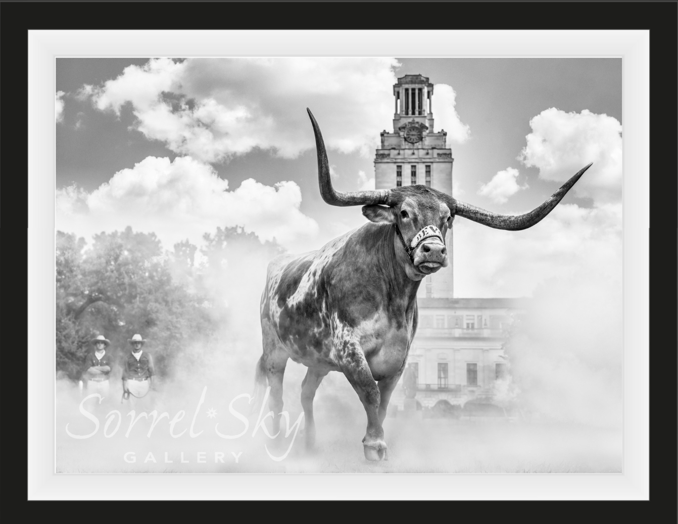 Hook 'Em Horns - B/W-Photographic Print-David Yarrow-Sorrel Sky Gallery