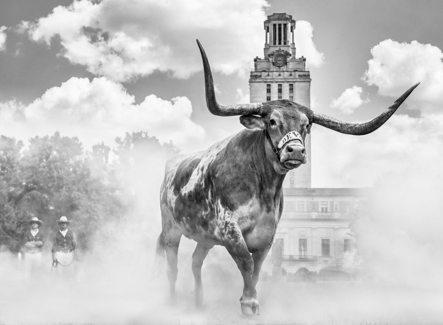 Hook 'Em Horns - B/W-Photographic Print-David Yarrow-Sorrel Sky Gallery