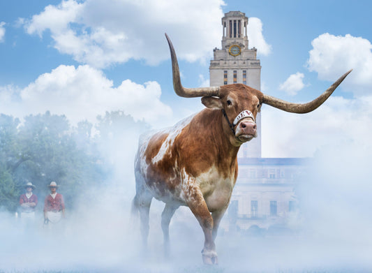 Hook 'Em Horns - Color-Photographic Print-David Yarrow-Sorrel Sky Gallery