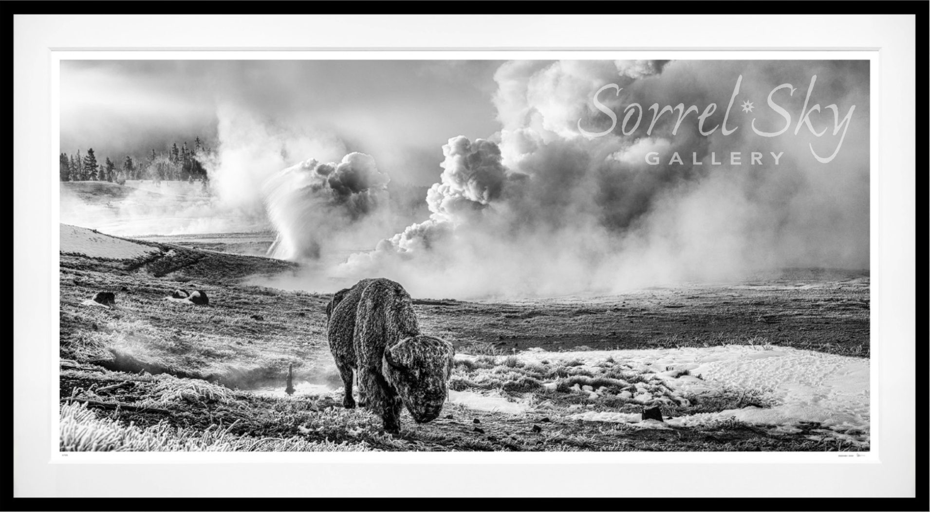 IN THE BEGINNING-Photographic Print-David Yarrow-Sorrel Sky Gallery