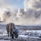 IN THE BEGINNING - Colour-Photographic Print-David Yarrow-Sorrel Sky Gallery