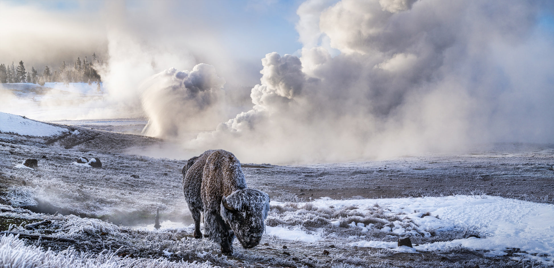 IN THE BEGINNING - Colour-Photographic Print-David Yarrow-Sorrel Sky Gallery