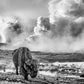 IN THE BEGINNING-Photographic Print-David Yarrow-Sorrel Sky Gallery