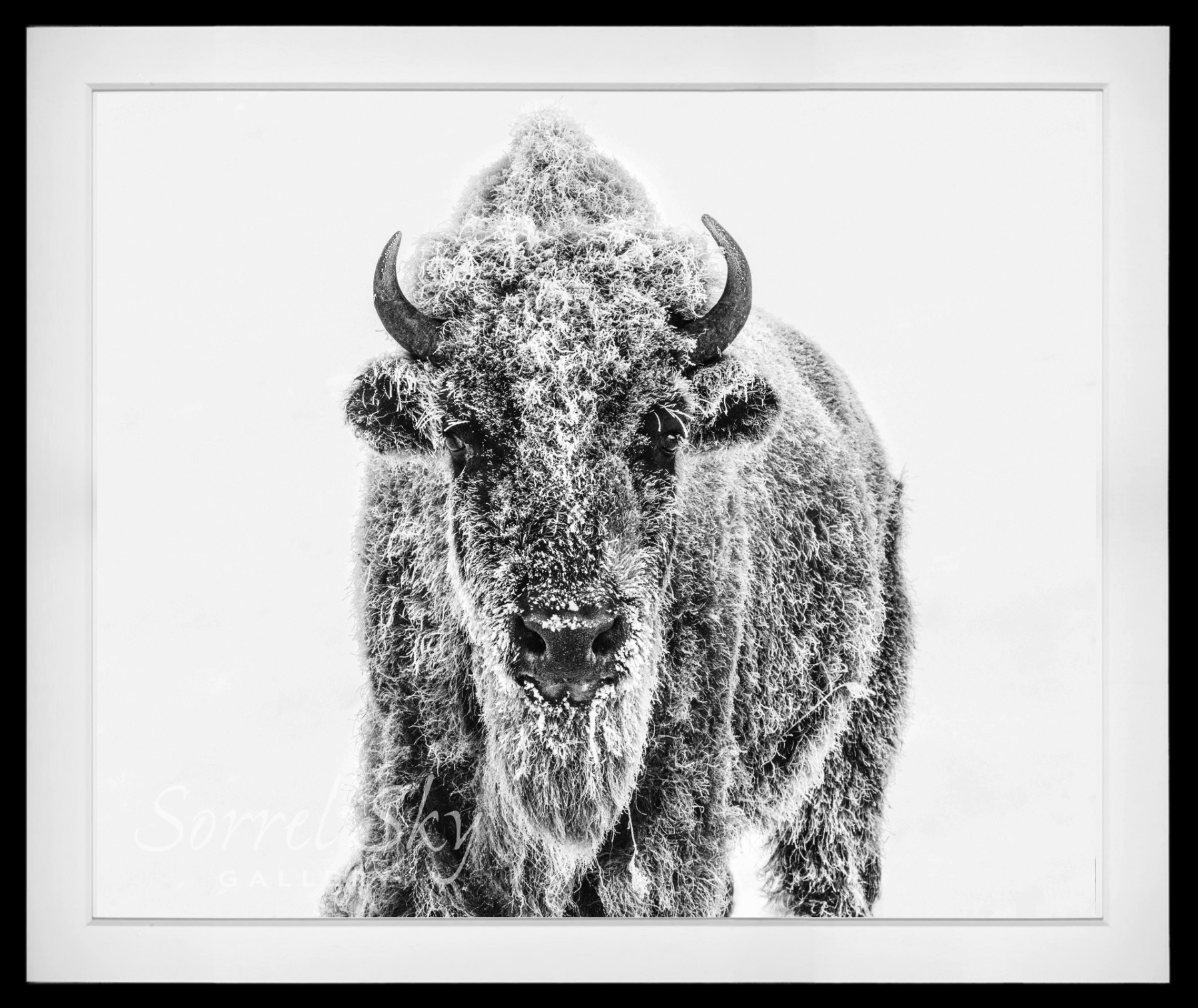 Ice Age-Photographic Print-David Yarrow-Sorrel Sky Gallery