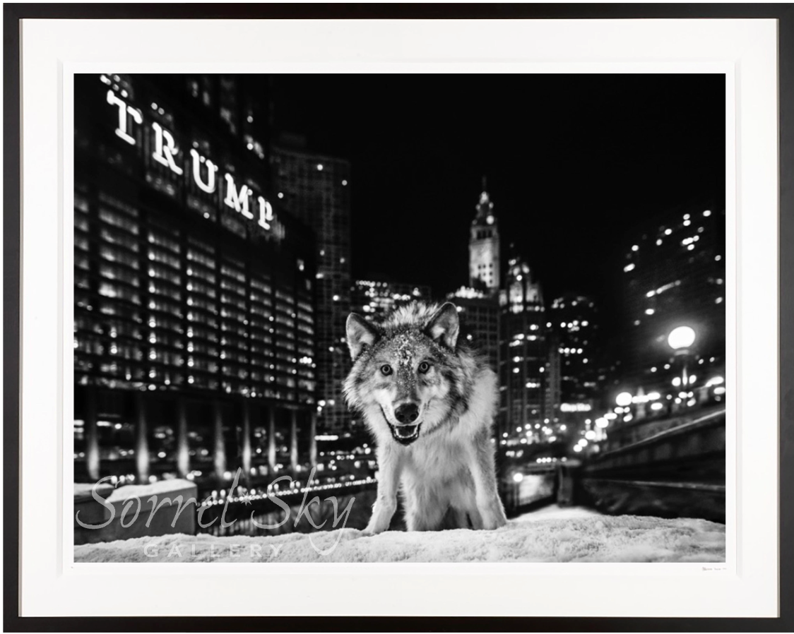 It Is Only A Matter Of Time-Photographic Print-David Yarrow-Sorrel Sky Gallery