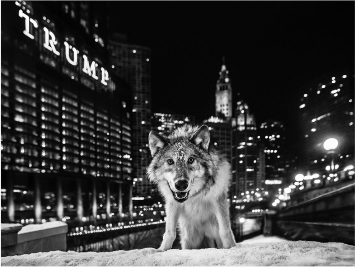 It Is Only A Matter Of Time-Photographic Print-David Yarrow-Sorrel Sky Gallery