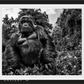 JUDGE AND JURY-Photographic Print-David Yarrow-Sorrel Sky Gallery