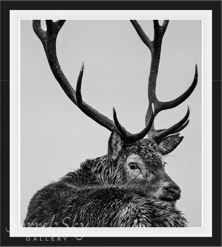 Jura-Photographic Print-David Yarrow-Sorrel Sky Gallery