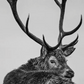 Jura-Photographic Print-David Yarrow-Sorrel Sky Gallery