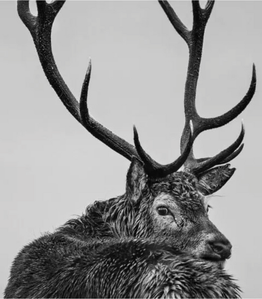 Jura-Photographic Print-David Yarrow-Sorrel Sky Gallery