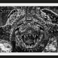 Jurassic Park-Photographic Print-David Yarrow-Sorrel Sky Gallery