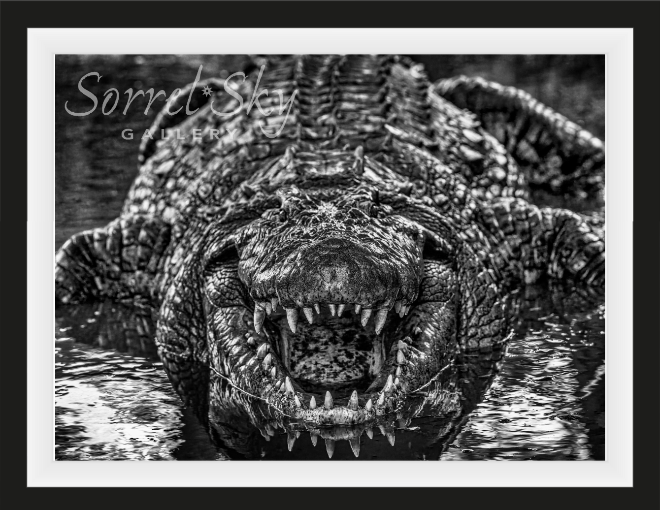 Jurassic Park-Photographic Print-David Yarrow-Sorrel Sky Gallery