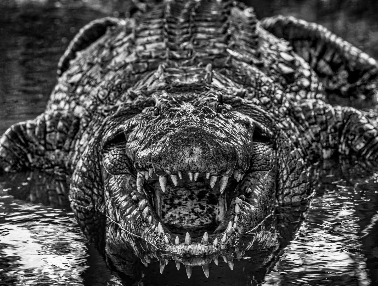 Jurassic Park-Photographic Print-David Yarrow-Sorrel Sky Gallery