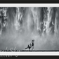 LEGENDS OF THE FALL-Photographic Print-David Yarrow-Sorrel Sky Gallery