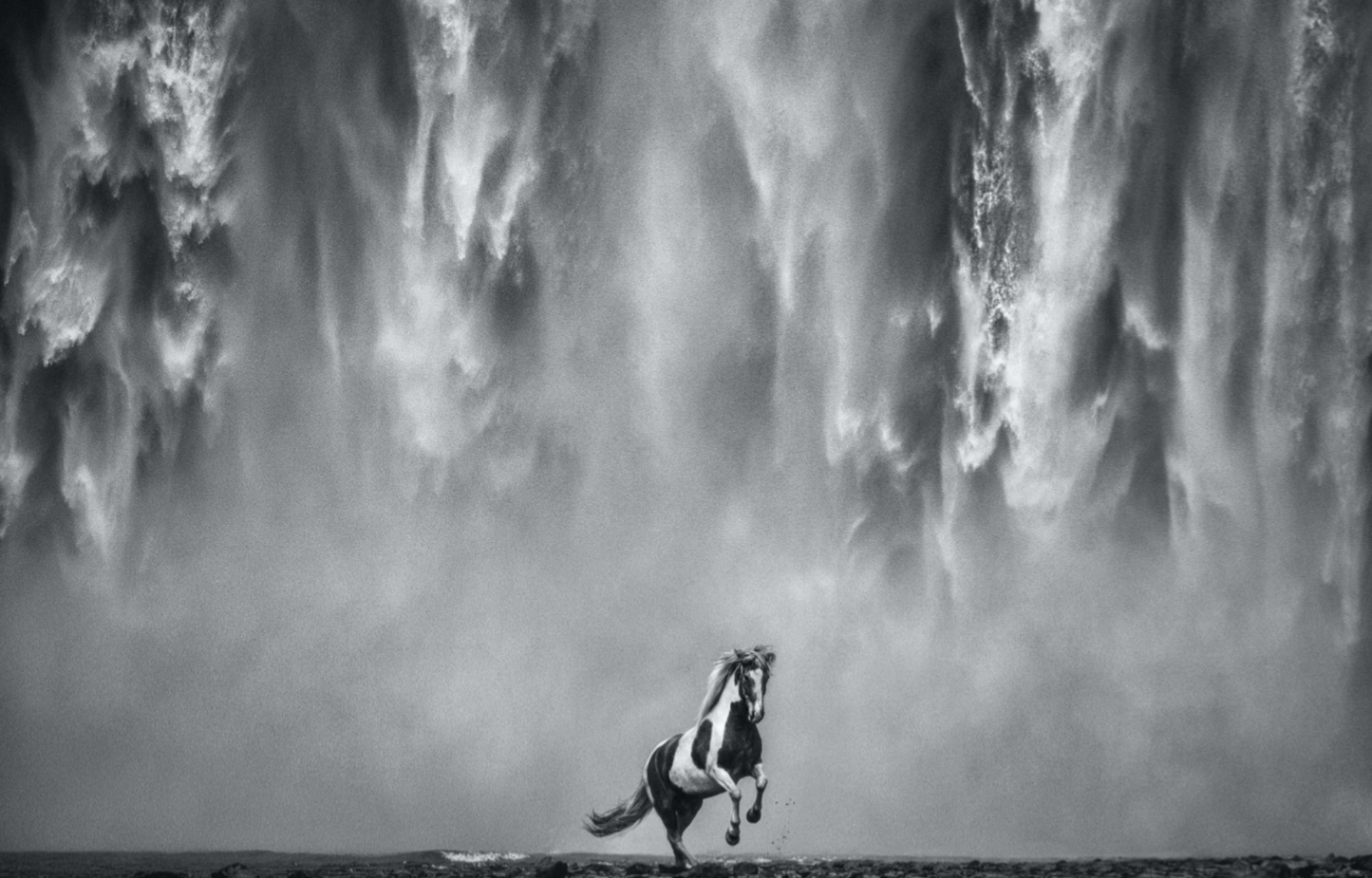 LEGENDS OF THE FALL-Photographic Print-David Yarrow-Sorrel Sky Gallery