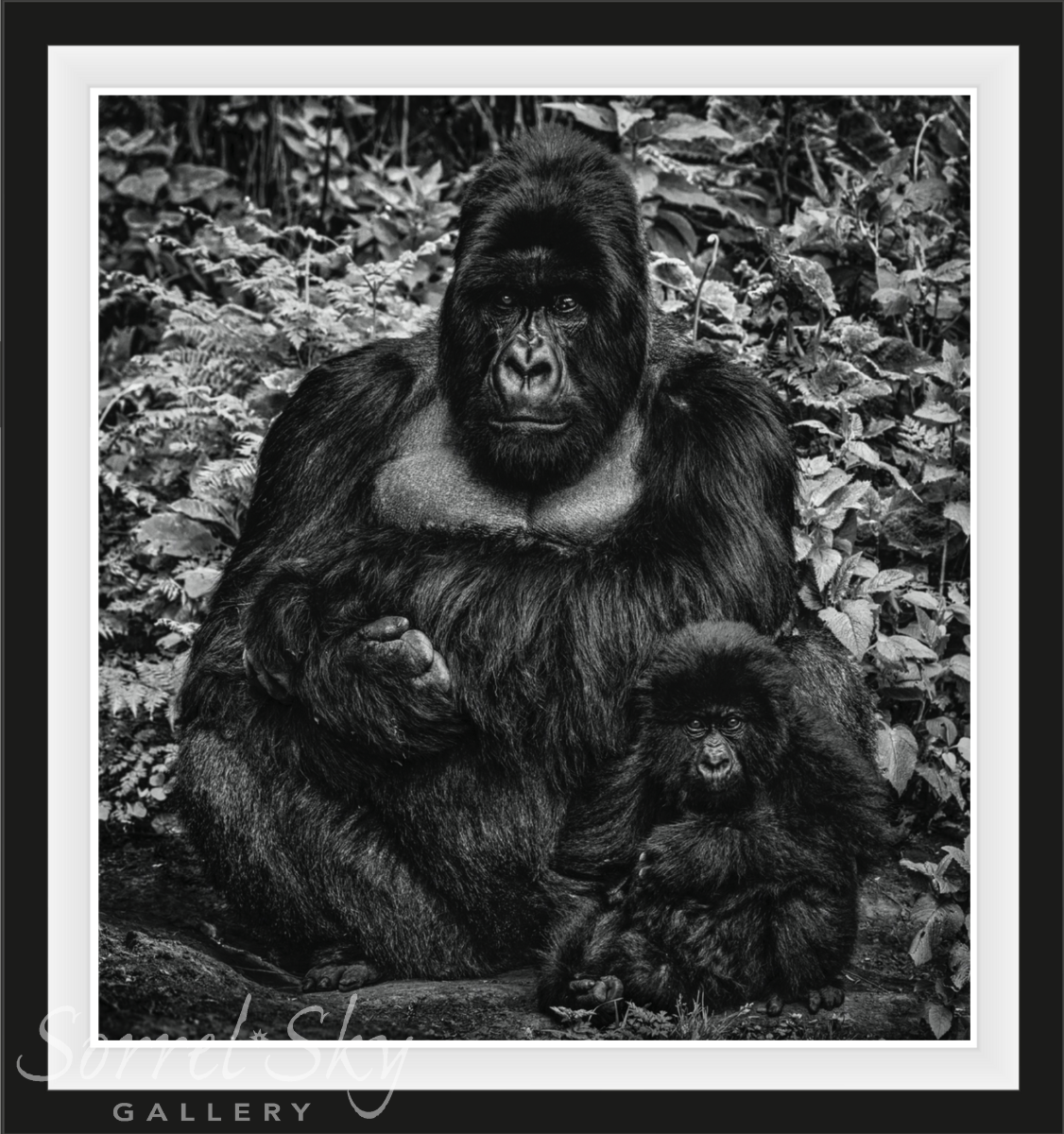 LIKE FATHER LIKE SON-Photographic Print-David Yarrow-Sorrel Sky Gallery