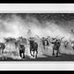 Lonesome Dove-Photographic Print-David Yarrow-Sorrel Sky Gallery