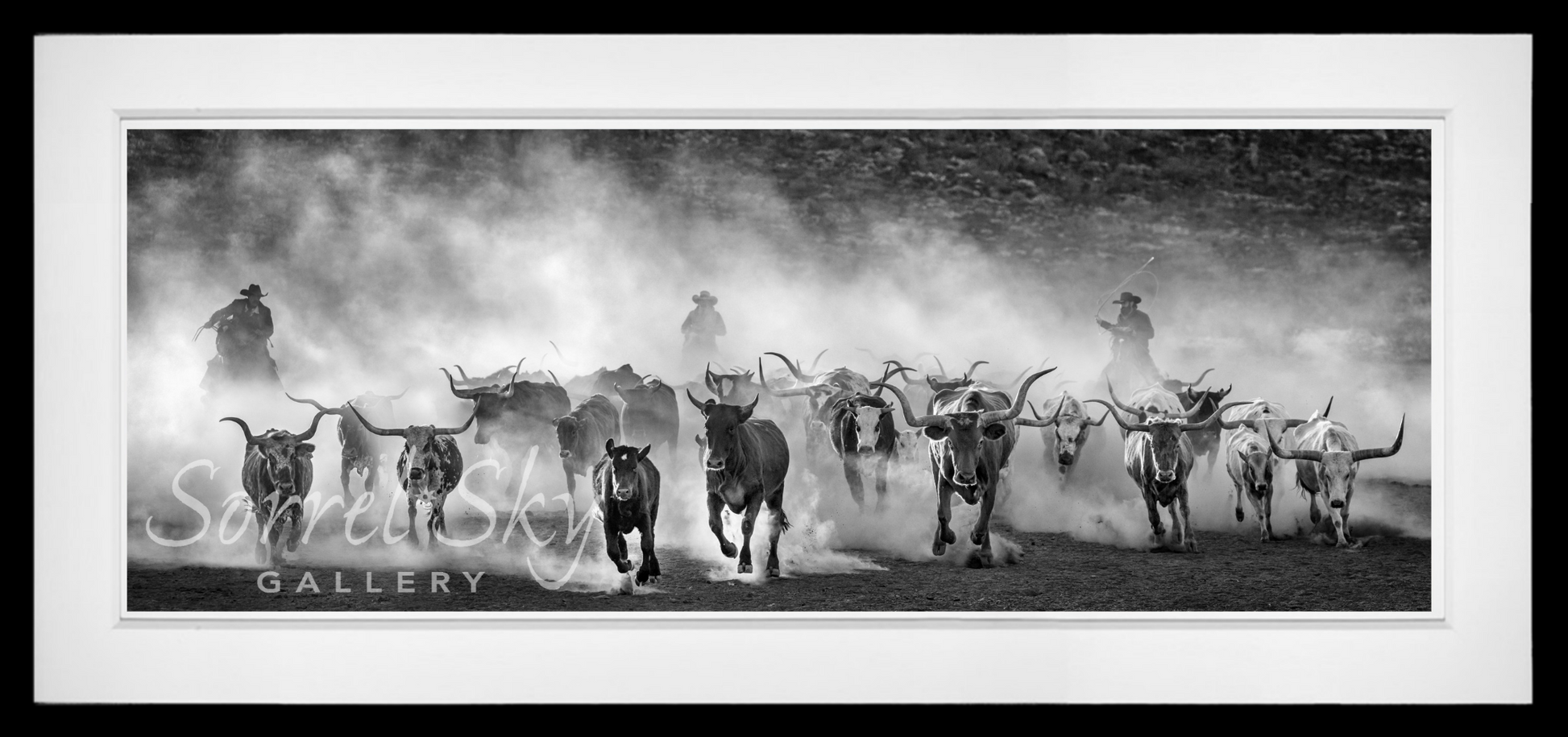 Lonesome Dove-Photographic Print-David Yarrow-Sorrel Sky Gallery