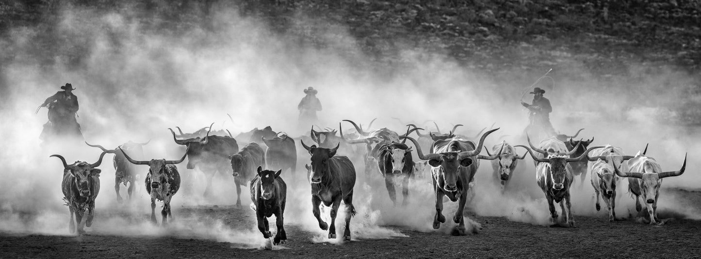 Lonesome Dove-Photographic Print-David Yarrow-Sorrel Sky Gallery