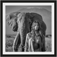 Lorena-Photographic Print-David Yarrow-Sorrel Sky Gallery