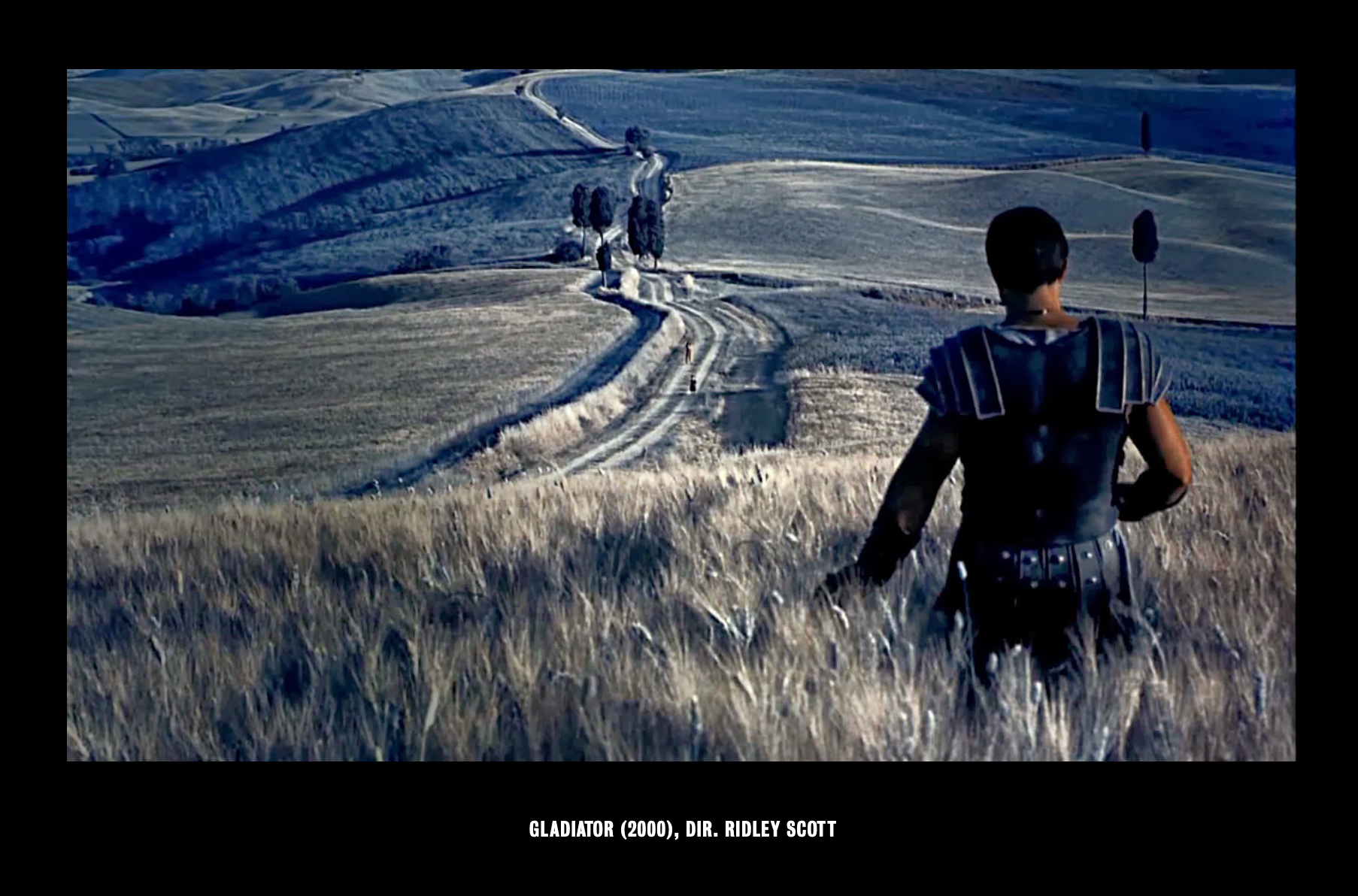 MAXIMUS (Colour)-Photographic Print-David Yarrow-Sorrel Sky Gallery