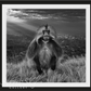 MEMBERS ONLY-Photographic Print-David Yarrow-Sorrel Sky Gallery