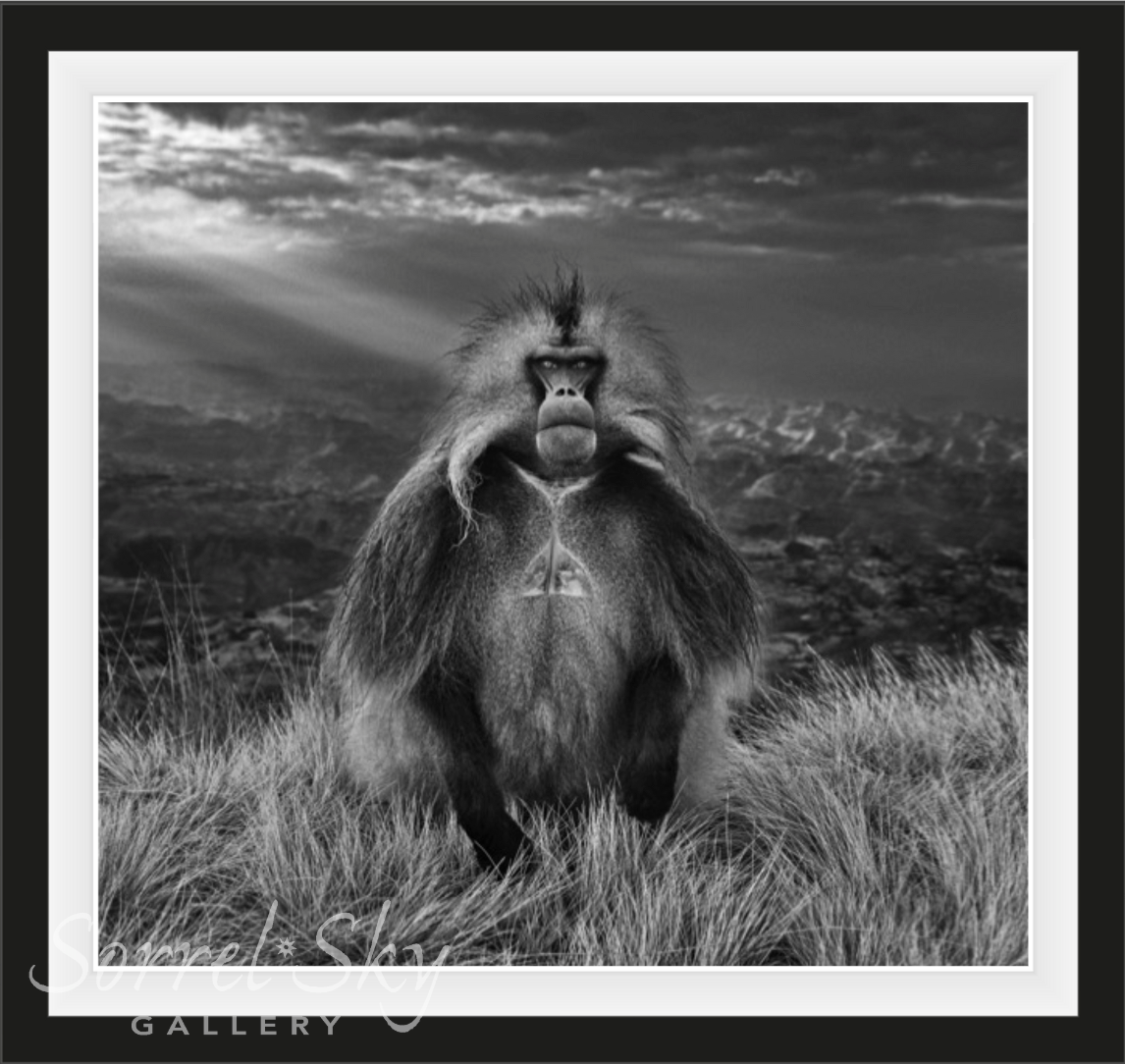 MEMBERS ONLY-Photographic Print-David Yarrow-Sorrel Sky Gallery