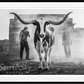MORNING HAS BROKEN-Photographic Print-David Yarrow-Sorrel Sky Gallery