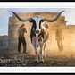 MORNING HAS BROKEN (Colour)-Photographic Print-David Yarrow-Sorrel Sky Gallery