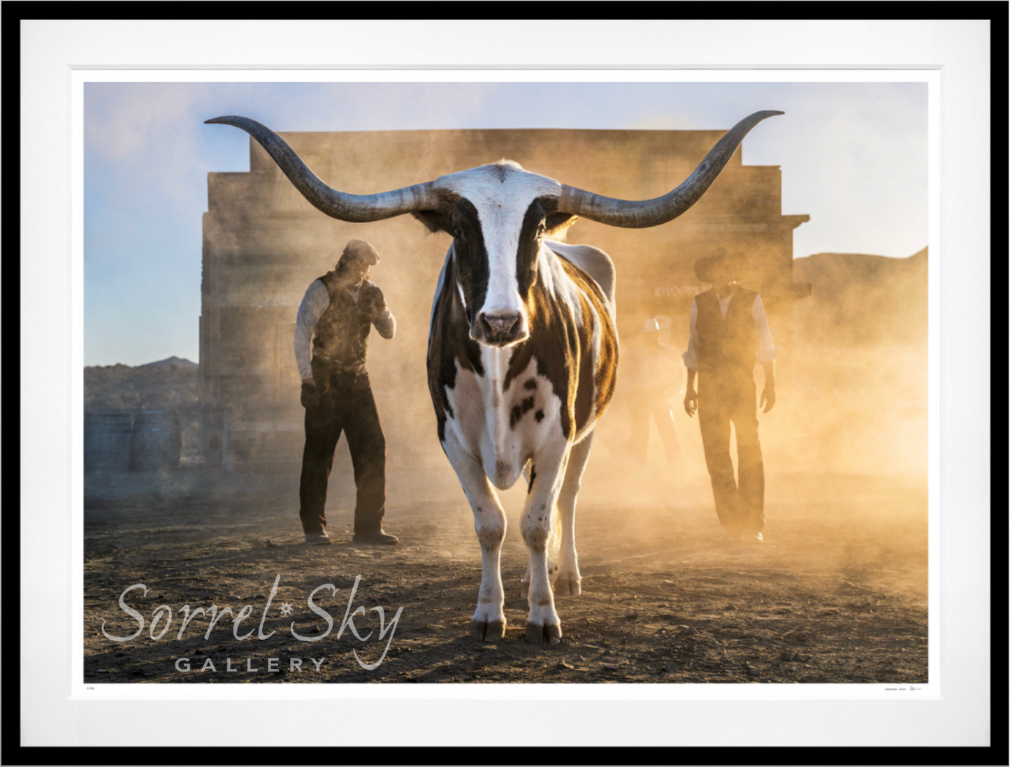 MORNING HAS BROKEN (Colour)-Photographic Print-David Yarrow-Sorrel Sky Gallery