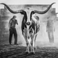 MORNING HAS BROKEN-Photographic Print-David Yarrow-Sorrel Sky Gallery