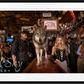 MOTHS TO A FLAME (Colour)-Photographic Print-David Yarrow-Sorrel Sky Gallery