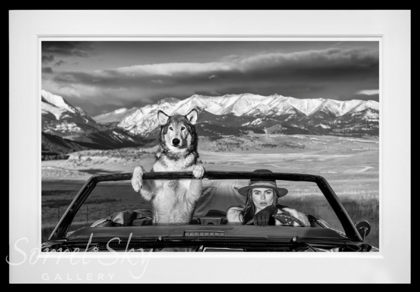 Montana Baby-Photographic Print-David Yarrow-Sorrel Sky Gallery