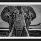 Mud-Photographic Print-David Yarrow-Sorrel Sky Gallery